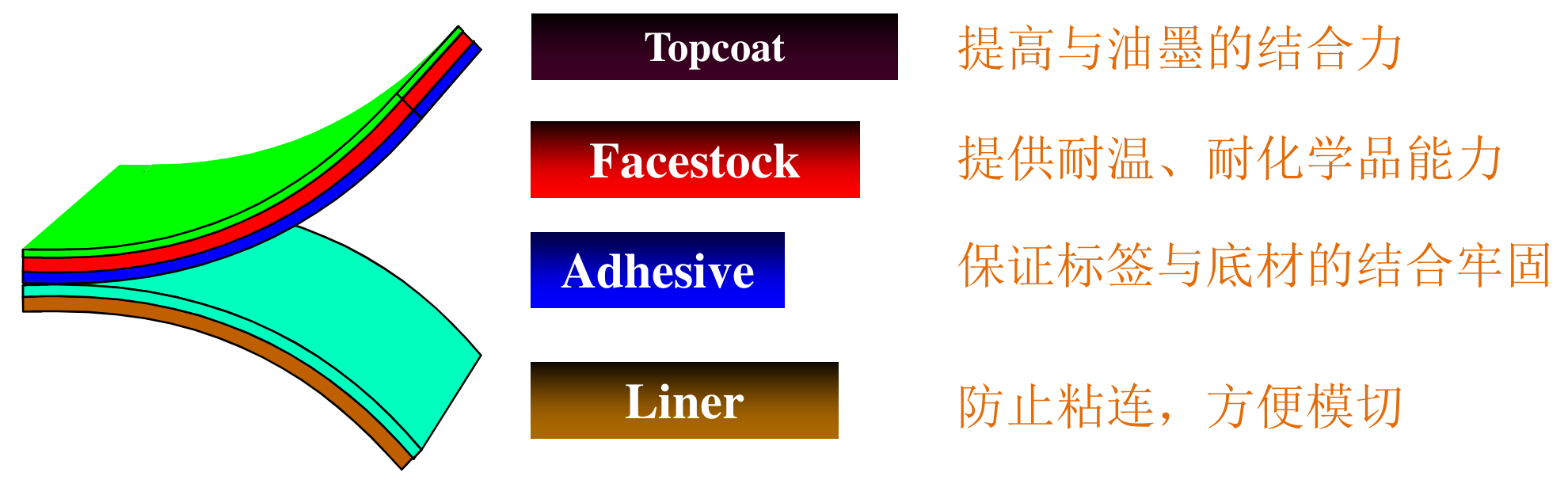 Topcoat表面涂层、Facestock面材、Adhesive胶粘剂与Liner离型底材结构图